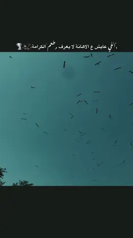 #عبارات_جميلة_وقويه😉🖤 #عباراتكم_الفخمه📿📌 #شعب_الصيني_ماله_حل😂😂 