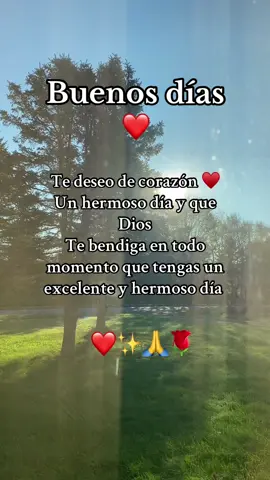 ✨FELIZ LUNES ✨#parati #viraltiktok 