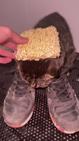 Похож🤣#lamineyamal #trends 