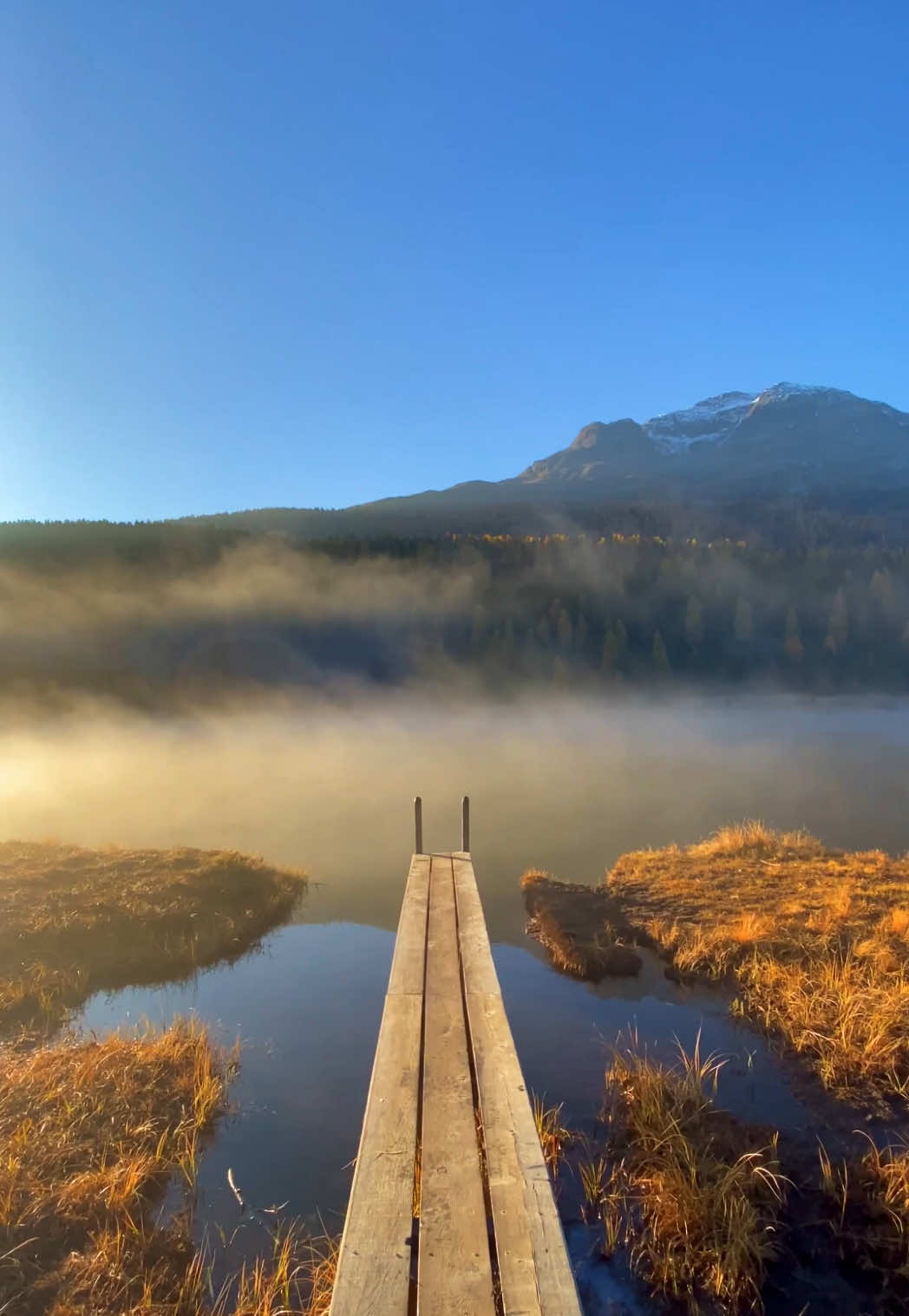 📍 Lej da Staz, Switzerland 🇨🇭 Follow for daily Swiss Content 🇨🇭 Want to know the exact location of this spot? 🗺️ Check the link in my bio! 🇨🇭🫶 📌 Save this for your trip to Switzerland 🇨🇭  🎥 by: @swisswoow  #engadinstmoritz #switzerland #mountains #schweiz #lejdastaz 