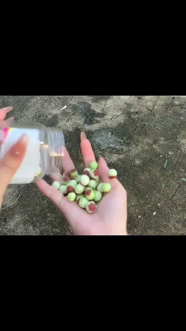 Anh muốn mình bên nhau như lúc xưa 🥹#lethianh_thuw 