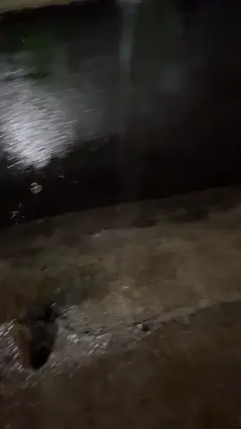 #hujan🌧️#musimhujan#hujantengahmalam#vibessad#fypシ