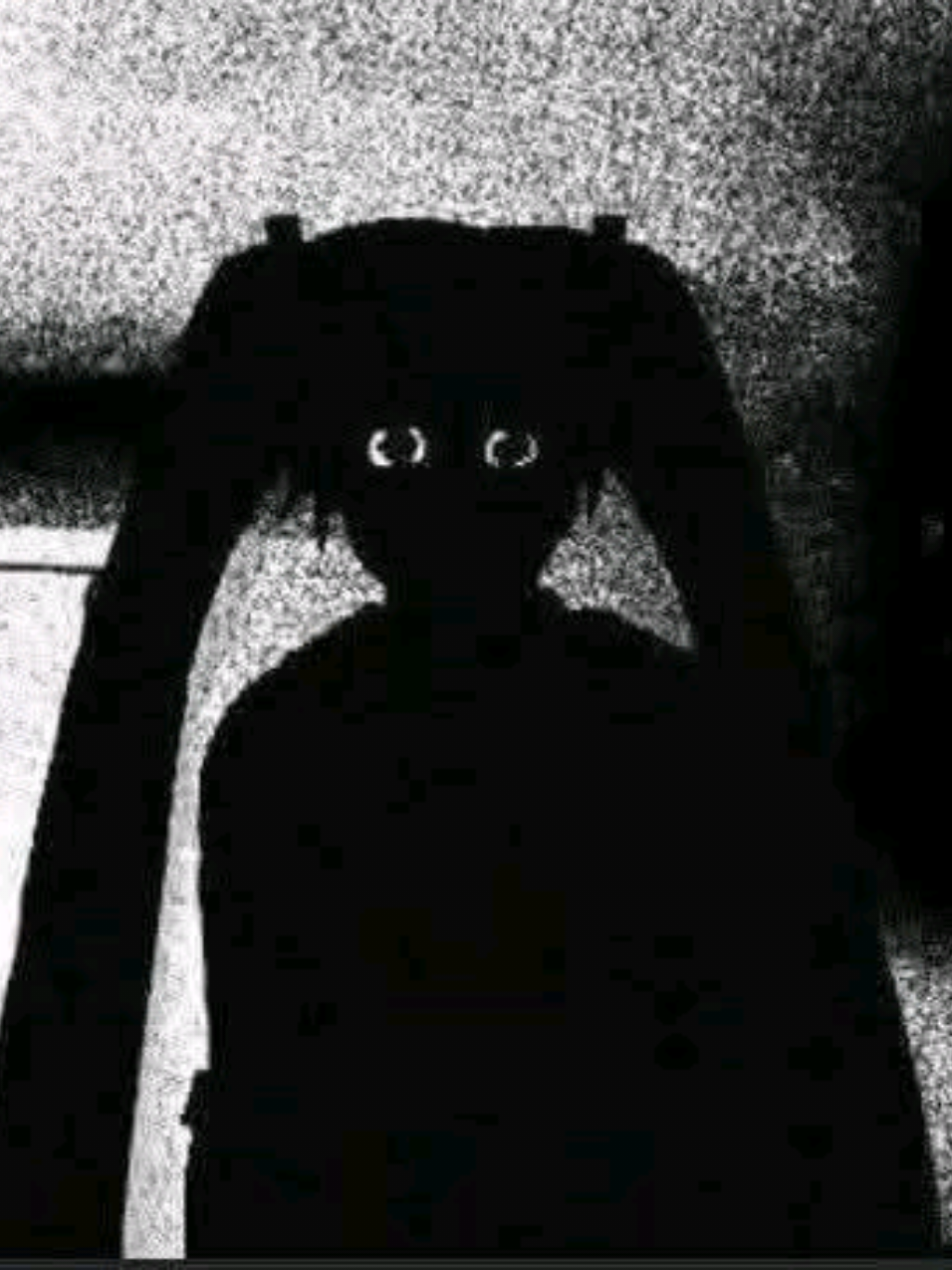 👁️👁️ #hatsune #miku #vocaloid  #edit #terror 