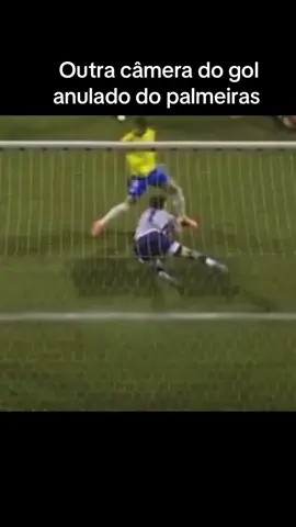 Palmeiras foi prejudicado pela arbitragem. #palmeiras #cruzeiro #brasileirao 