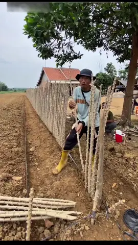 #creatorsearchinsights 