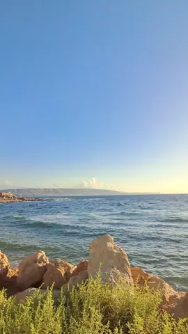 أجمل حاجة يا روحي انك توأم روحي يا أغلى حاجة فى عمري حبك قدري وروحي أنا وأنت ح نتواعد ولا يمكن نتباعد ما أنت الحلم الواعد وأنت الدوا لجروحي وأنا روحي فيك وعيوني بتنده ليك وقلبي بيجري عليك وغرامي عليك شاهد أجمل حاجة يا روحي انك توأم روحي مش قادر احكي ليك على ال بيجرى في بعدك بنسى الدنيا واجيلك اصل ماليش من بعضك أنا أول ما رأتك ارتحت وحبيتك وحسيت أننا واحد أنا وأنت ح نتواعد ولا يمكن نتباعد ما أنت الحلم الواعد وأنت الدوا لجروحي وأنا روحي فيك وعيوني بتنده ليك وقلبي بيجري عليك وغرامي عليك شاهد أجمل حاجة يا روحي انك توأم روحي شوف صورتك بعيوني تلقى مفيش الا أنت مهما الناس يلموني برضه ماليش الا أنت دا العمر بيحلالي والدنيا بتصفالي طول ما حنا بنتعاهد أنا وأنت ح نتواعد ولا يمكن نتباعد ما أنت الحلم الواعد وأنت الدوا لجروحي وأنا روحي فيك وعيوني بتنده ليك وقلبي بيجري عليك وغرامي عليك شاهد أجمل حاجة يا روحي  انك توأم روحي🎶♥️👑 @raghebalama  . . . #راغب_علامة #توأم_روحي #راغب_علامه #Sing_Oldies #page_old_songs 