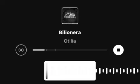 Bilionera #bilionera #otilia #🔊🎵 #instamusic #elbruso 