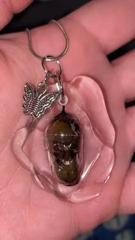 This was actually my first time ever working with resin besides mini verse. The bubbles were driving me crazy. But I loved how it turned out. Poor Butterfly 🦋 But the Chrysalis was too pretty to let rot in the winter. #butterfly #taxidermy #resin #fyp #foryoupage 
