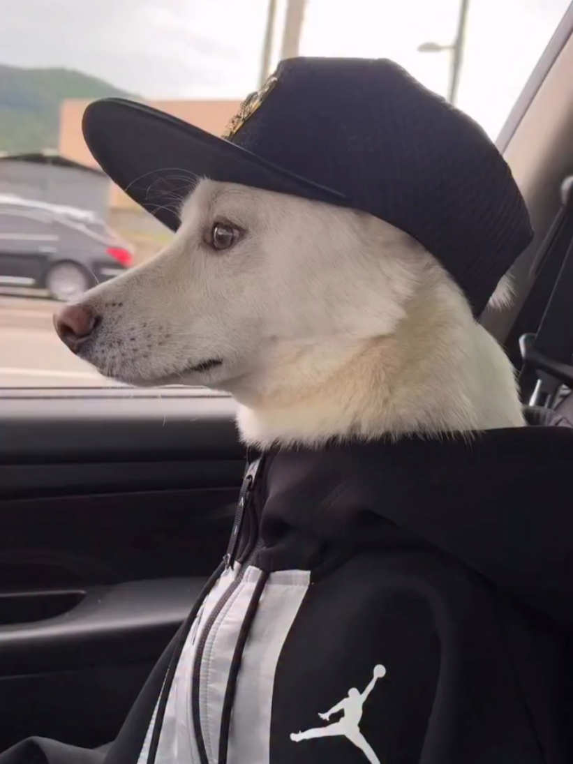 خطيه مجروح هههههههه  #شعب_الصيني_ماله_حل😂😂 #dancewithpubgm  #viralvideos  #foryou  #viral 