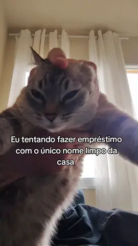 Vai que cola 😬🙅🏻‍♂️🤣 #meme #humor 