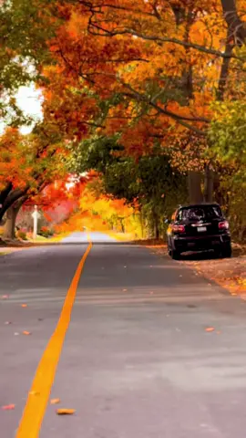 #autumn #autumnvibes #october #fallincanada #foryou 