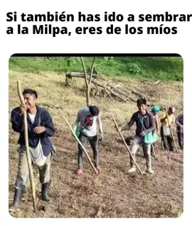 #LIVEIncentiveProgram #KeepItRealKeepItLIVE #PaidPartnership 