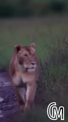 #LIVEIncentiveProgram #LIVEStory #PaidPartnership 