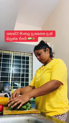 යකඩෝ දැන් බලන් එපයි 🤣🤣 #srilanka #india #fyp #funny #viral 