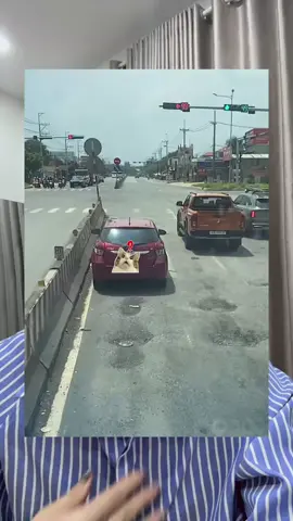 Hồi sinh viên các chú gọi vào làm gì còn đầu óc phân tích lỗi mình là lỗi gì 😭😭 các chú hù 1 cái lỗi to đùng sợ tái mặt 🤣 #hoclaixeotohanoi #laixeantoan #banglaixe #hoclaixeoto #bachnguyetnganhlai 