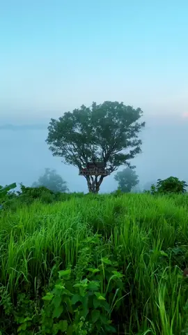 beautiful scenery tamil sound nature #naturevibes #naturelover #natural #tamilbgmlove #natureisbeautiful 