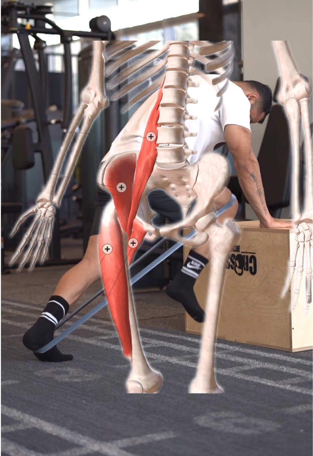 ‼️When you train with a mini loop band, your muscles stay under constant tension throughout the entire movement. That means even during the return phase, the muscle has to keep resisting 👊 💡This continuous resistance forces your deep muscle fibers to activate more — 😳because your body needs those stabilizing fibers to maintain balance and control. The result? 🔥 Deeper muscle activation, better knee stability, and more strength. 💪 Benefits of mini loop band training: 1️⃣ Deep stimulation of the quadriceps 2️⃣ Improved knee joint stability 3️⃣ Enhanced performance in running, jumping, and changing direction 4️⃣ No weights needed — just control and focus 💥 Save this post and try it tomorrow! Then tell me — where did you feel the burn the most? 🔥 Do you want to see the full workout? Yes 🔹 No #quadriceps #resistancebandworkout #miniloopband #kneestability #legtraining   