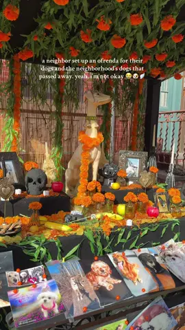 as mexican and dog mom, this wrecked me 😭😭😭 one of the most beautiful ofrendas and altares that I’ve seen 🥺🧡  #diademuertos #altardemuertos #ofrendaparamascotas #dayofthedeadpets 