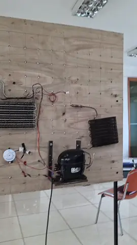 Bini training  center #creatorsearchinsights #binifridgedisplay #foryoupage❤️❤️ #fypシ゚ 