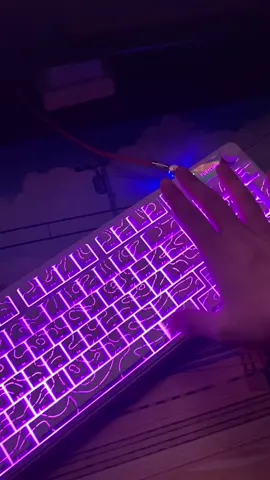 kibort serasa dj 🗿 #furycube #furycubeip98 #keyboardmembrane #rgbkeyboard #rgbsetup 