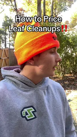 Follow to learn more! This is a walkthrough of how I price my leaf removal/blowing. I mispoke this wont have any added dumping fees because we are only blowing them!#leafremoval #lawncare #landscaping 