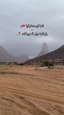 #تبوك #الديسه 