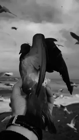 #ក្នុងលោកនេះគ្មានអ្វីដែលទាងទាត់នោះទេ😔 #តន្ត្រីកំដរអារម្មណ៍🎶🎼🇰🇭 #tiktok 