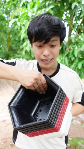 Combo 10 chậu trồng cây#xuhuong #xuhuongtiktok #chautrongcay 