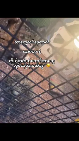 မသိဘူး#စာfeel #စာတို #fyppppppppppppppppppppppp #စာကြမ်း #flyp @Zoya 