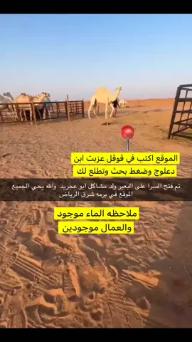 #الفحول_المنتجه #الوطن_العربي #ابن #دعلوج #fyp 