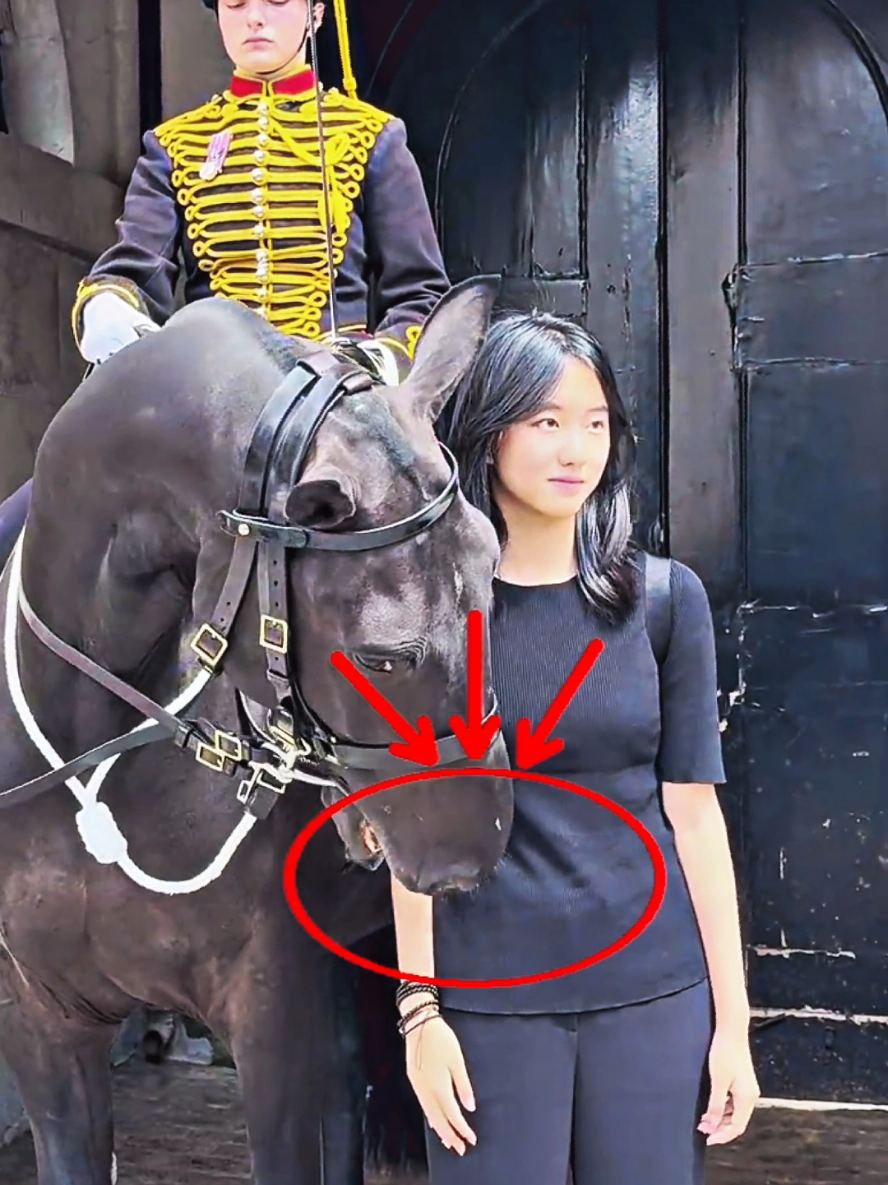 please respect kingsguard 🙏🥺#horseguardsparade #thekingguard #kingsguards #queensguard #peterellis 