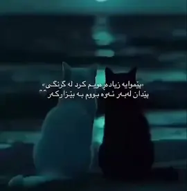 #💔🥀 #hawler_slemani_dhok_karkuk_hallabja 