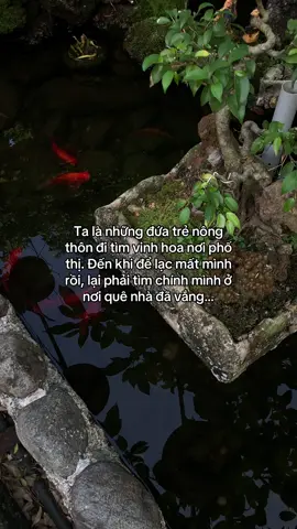 …#tamtrang #story 