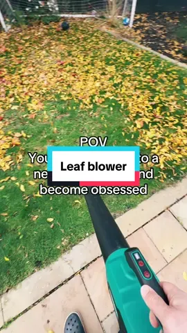 Love my new leaf blower #tiktokmademebuyit #dealdrops #leafblower #gardening