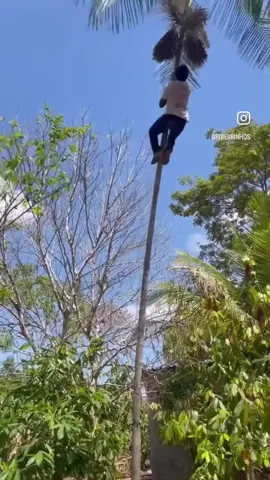 #ghanatiktok🇬🇭 #africantiktok #foryou #fypシ゚viral 