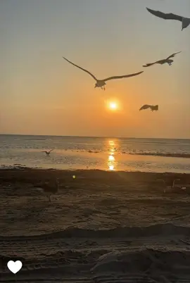 #راحه_نفسيه 