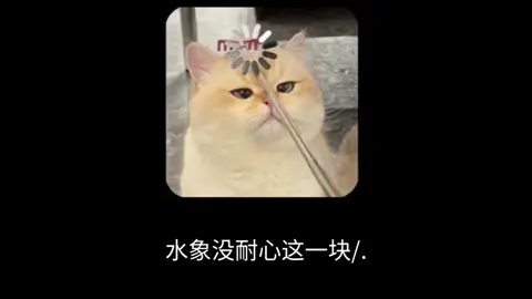 #水象星座  #天蝎座 #双鱼座 #巨蟹座 #别ky 