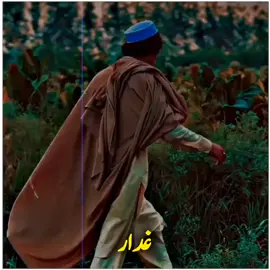 #acountviral #غدار #unfreezacount #viralacount #creatorsearchinsights 