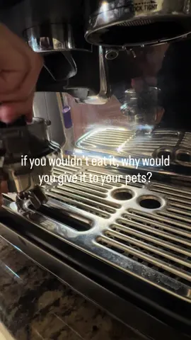 normalize testing out the food you feed your dog 😅 #fyp #pet #dogfood #funny #SmallBusiness 