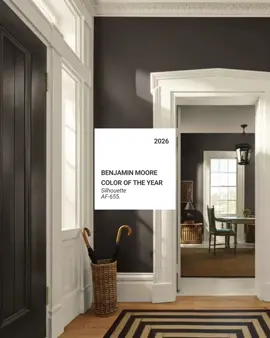 Color can change everything — from curb appeal to how your home feels. 💫 Benjamin Moore’s 2026 palette brings rich, warm neutrals and statement shades that photograph beautifully (hello, Silhouette AF-655 😍). Which shade would you love to see in your next home? 🖤 #benjaminmoore #2026paintcolor #amandawithlong #tucsonrealestate #tucsonrealtor 