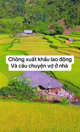 Chồng xuất khẩu lao động cho vợ con ở nhà đỡ vất vả.Nhưng câu chuyện động trời xảy ra khi người chồng về nước#cuasotinhyeu #tuvantinhcam #tuvantinhyeu #dinhdoan 