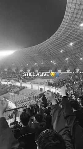 please god save our roots ✊🏻