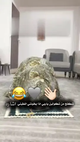 شكلج من 👋🏻😂❤️ . . . . . . #اكسبلور_explored #فديوهات #تصميمي🎬 #دعم_مصممين #تصاميمم_تبوو 