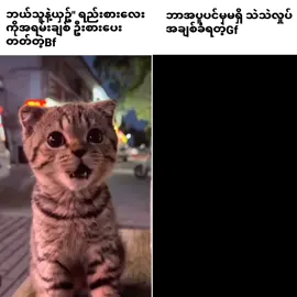 အရမ်းချစ်တာ#fypシ #xycba 
