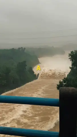 Lũ lịch sử Huế 2025, năm nay lũ to quá mn ạ.