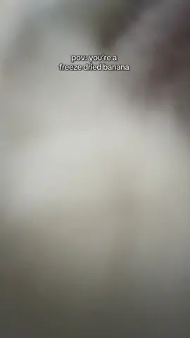 pov: you’re a freeze dried banana  #rabbitsoftiktok #bunnyasmr #chewing 