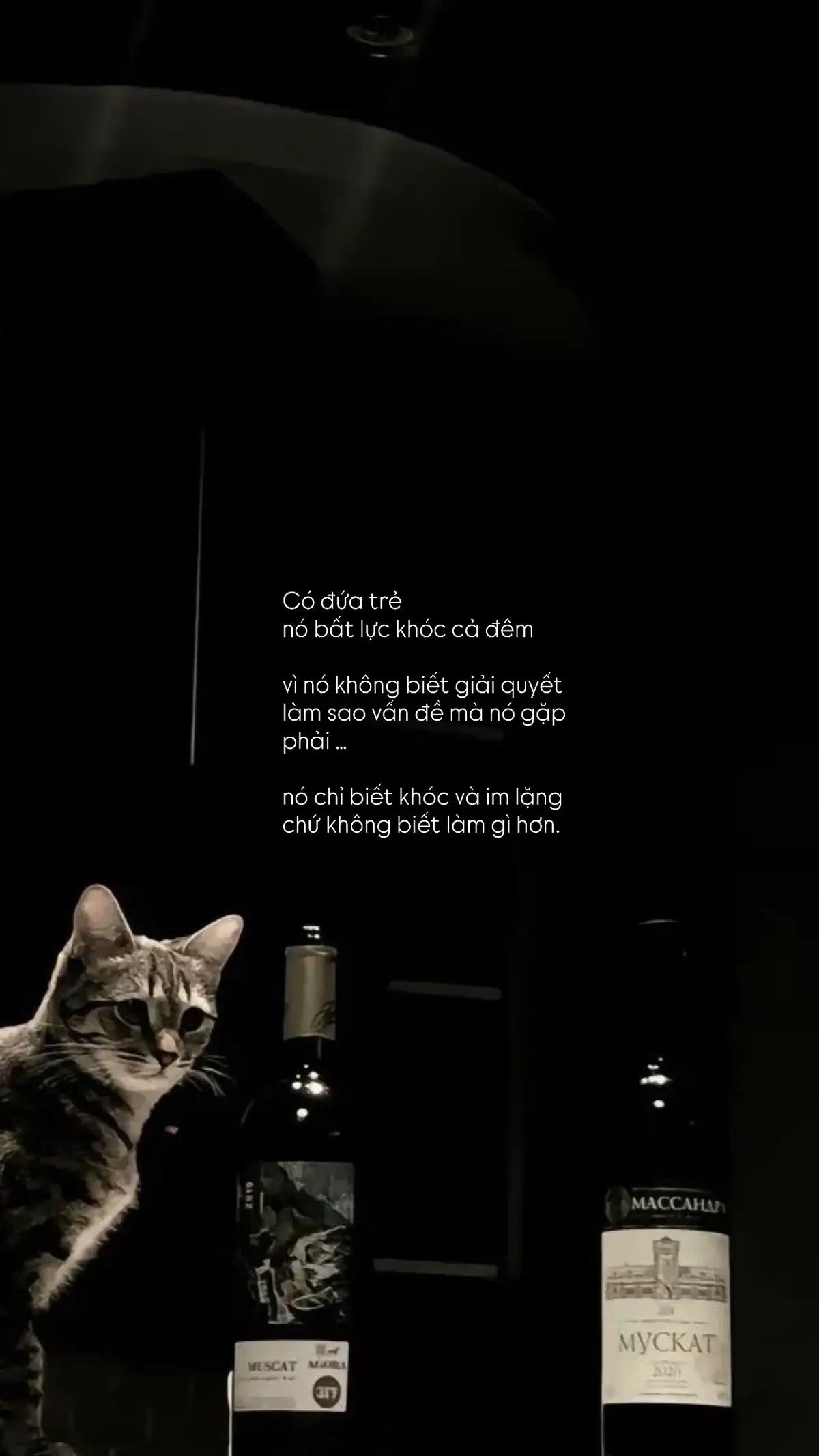 Có đứa trẻ nó bất lực khóc cả đêm vì nó không biết giải quyết làm sao vấn đề mà nó gặp phải …   nó chỉ biết khóc và im lặng chứ không biết làm gì hơn.