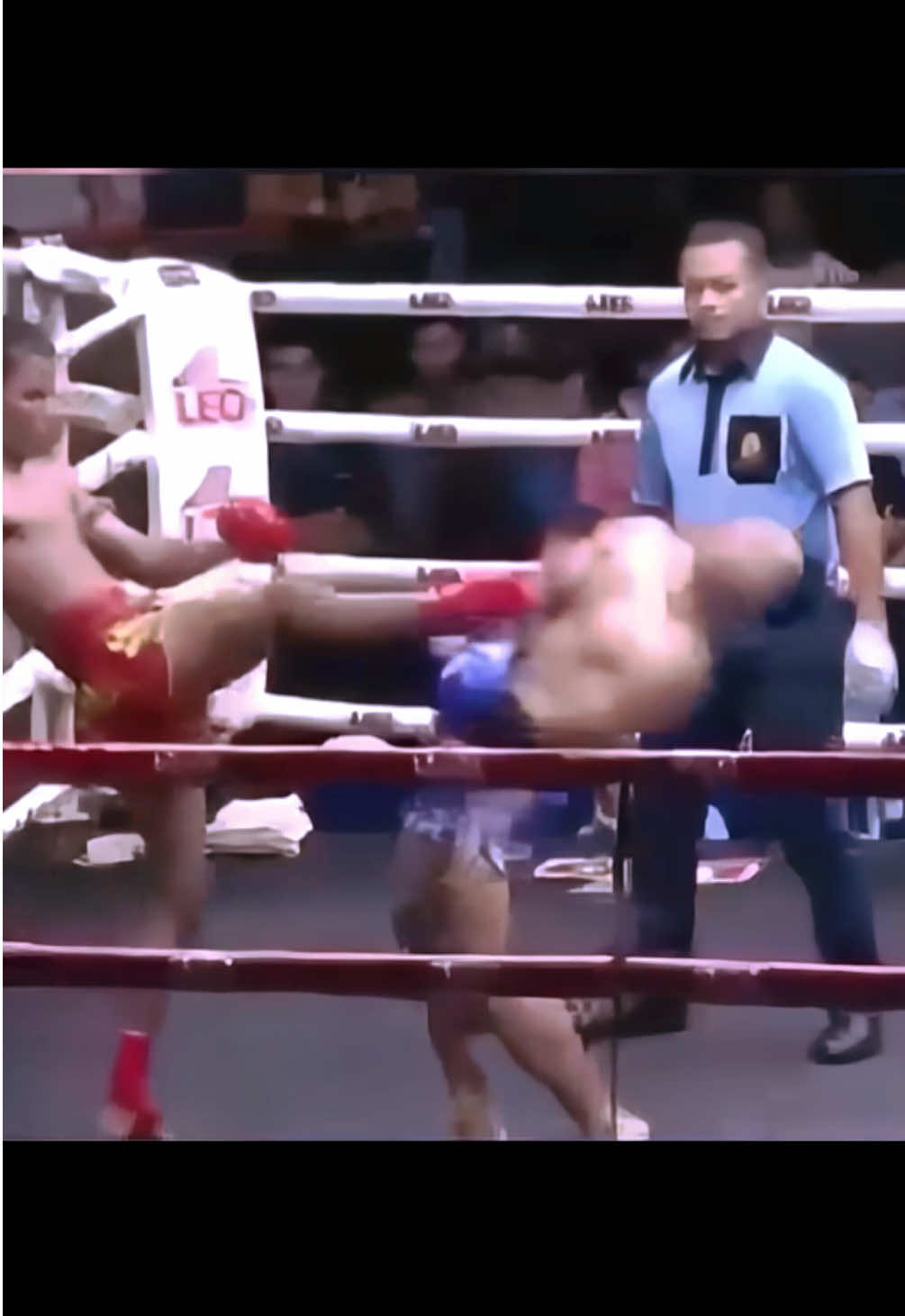 Brutal KO Combo⚡️  #muaythai #thaiboxing #muaypro #muaythaifighter #muaythaitechnique