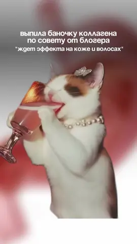 Объясняем на пальцах, почему коллаген пить бесполезно Не кормите блогеров и производителей БАДов - лучше купите себе еще одно любимое белковое блюдо ☺️  ____ Запись к нам на очный и онлайн прием по ссылке в описании профиля  . . . . . #лечениеакне #мифыакне #дерматолог #дерматологонлайн #косметолог      