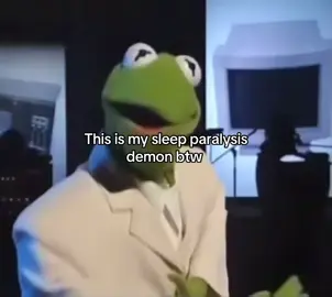 #kermitthefrog #talkingheads #muppets #onceinalifetime #fyp 